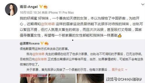 户外磊被爆料视频,真相究竟如何？