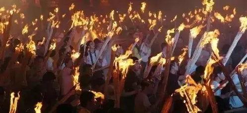 来玩火在线观看